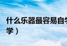 什么乐器最容易自学成功（什么乐器最容易自学）