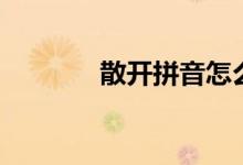 散开拼音怎么写(散开拼音)