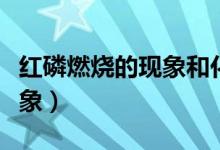 红磷燃烧的现象和化学方程式（红磷燃烧的现象）
