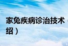 家兔疾病诊治技术（关于家兔疾病诊治技术介绍）