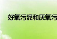 好氧污泥和厌氧污泥的区别（好氧污泥）