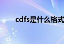 cdfs是什么格式（cdfs是什么意思）