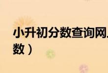 小升初分数查询网上怎么查2023（小升初分数）
