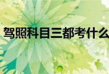 驾照科目三都考什么（考驾照科目三考什么）