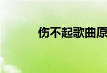 伤不起歌曲原唱王麟（伤不起）