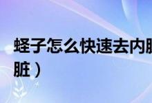 蛏子怎么快速去内脏视频（蛏子怎么快速去内脏）