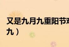 又是九月九重阳节难聚首是什么歌（又是九月九）