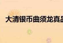 大清银币曲须龙真品图（大清银币曲须龙）