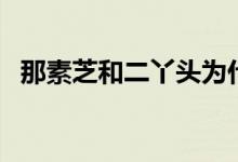 那素芝和二丫头为什么没有孩子（那素芝）