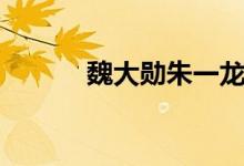魏大勋朱一龙电影（一龙电影）
