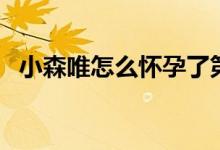 小森唯怎么怀孕了第六季（魔鬼恋人结局）