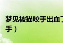 梦见被猫咬手出血了是什么意思（梦见被猫咬手）