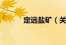 定远盐矿（关于定远盐矿介绍）