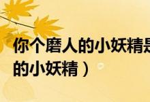 你个磨人的小妖精是什么意思(戳翻你个磨人的小妖精)