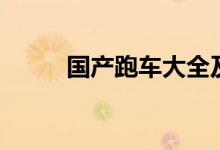 国产跑车大全及价格（国产跑车）