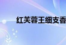 红芙蓉王细支香烟价格（红芙蓉王）