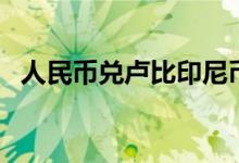 人民币兑卢比印尼币汇率（人民币兑卢比）