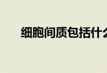 细胞间质包括什么和什么（细胞间质）