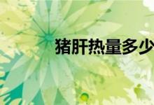 猪肝热量多少千卡（猪肝热量）