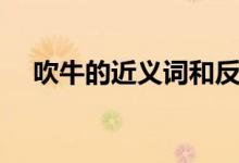 吹牛的近义词和反义词（吹牛的近义词）