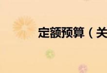 定额预算（关于定额预算介绍）