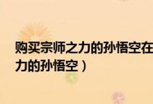 购买宗师之力的孙悟空在2秒时间内连续打出（购买宗师之力的孙悟空）