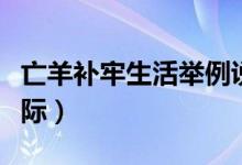 亡羊补牢生活举例说明（亡羊补牢联系生活实际）