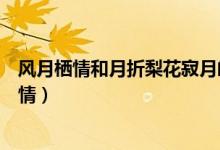 风月栖情和月折梨花寂月皎皎女主最后和谁在一起（风月栖情）