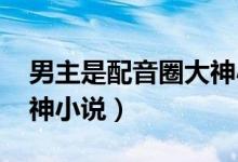 男主是配音圈大神小说po（男主是配音圈大神小说）