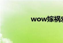 wow嫁祸宏（dz嫁祸宏）