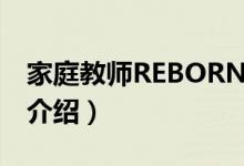 家庭教师REBORN（关于家庭教师REBORN介绍）