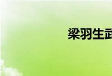 梁羽生武侠小说全集