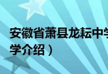安徽省萧县龙耘中学（关于安徽省萧县龙耘中学介绍）