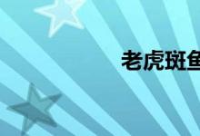 老虎斑鱼多少钱一斤