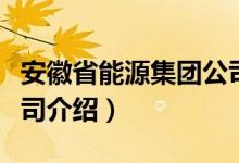 安徽省能源集团公司（关于安徽省能源集团公司介绍）