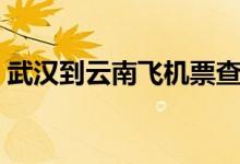 武汉到云南飞机票查询（武汉到云南飞机票）