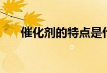 催化剂的特点是什么（催化剂的特点）