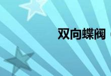 双向蝶阀（单向阀种类）