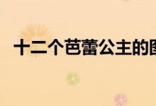 十二个芭蕾公主的图片（十二个芭蕾公主）