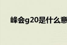 峰会g20是什么意思（g20是什么意思）