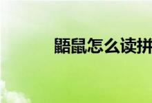 鼯鼠怎么读拼音（鼯鼠怎么读）