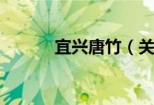 宜兴唐竹（关于宜兴唐竹介绍）