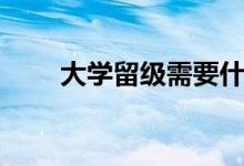 大学留级需要什么条件（大学留级）