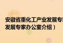 安徽省重化工产业发展专家办公室（关于安徽省重化工产业发展专家办公室介绍）