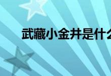 武藏小金井是什么动漫（武藏小金井）