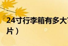24寸行李箱有多大?图片（24寸行李箱多大图片）
