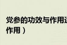 党参的功效与作用适合哪些人（当参的功效与作用）