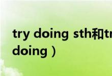 try doing sth和try to do sth的区别（try doing）