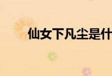仙女下凡尘是什么意思（仙女下凡）