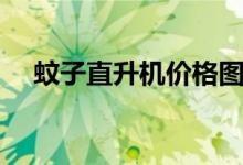 蚊子直升机价格图片（蚊子直升机价格）